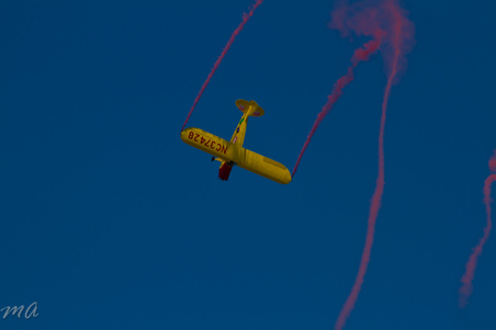 Enlarge photo 399