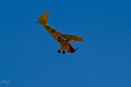 Enlarge photo 417