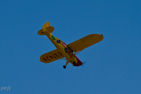 Enlarge photo 418