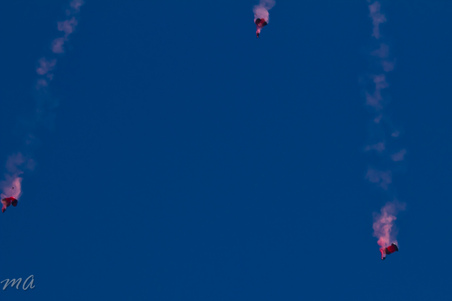 Enlarge photo 473