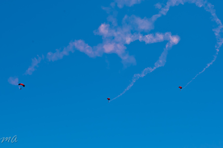Enlarge photo 477