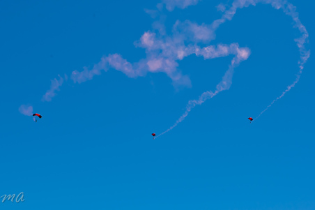 Enlarge photo 478