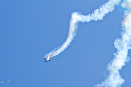 Enlarge photo 488