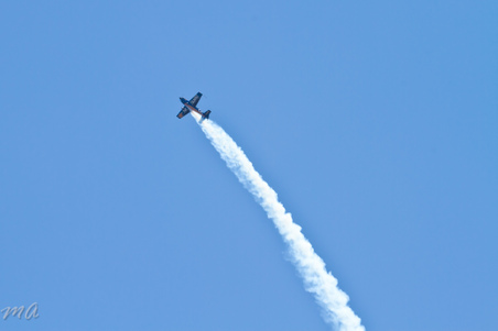 Enlarge photo 491