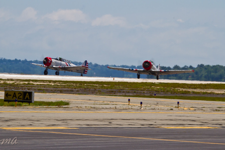 Enlarge photo 534