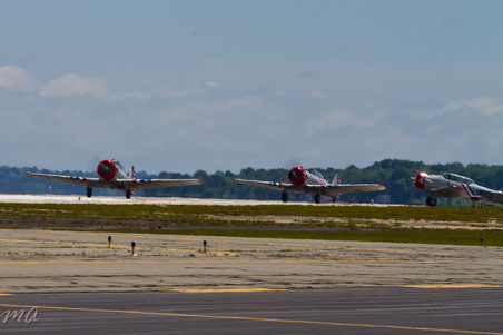 Enlarge photo 535