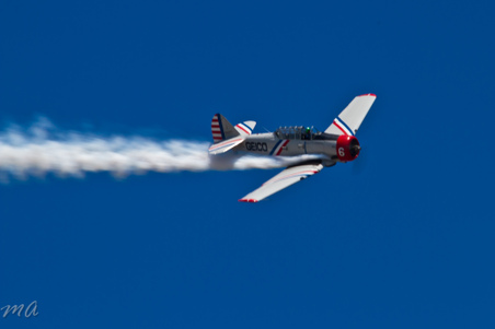 Enlarge photo 547