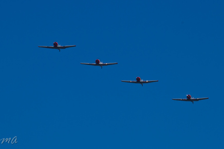 Enlarge photo 552