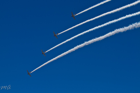 Enlarge photo 557