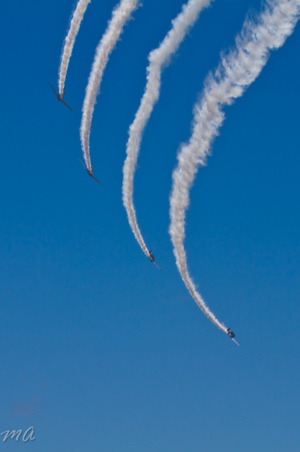 Enlarge photo 559