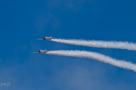 Enlarge photo 561