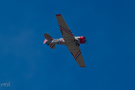 Enlarge photo 563
