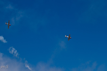 Enlarge photo 576