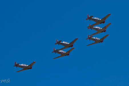 Enlarge photo 620