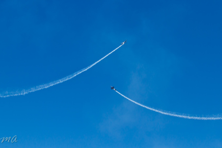 Enlarge photo 919
