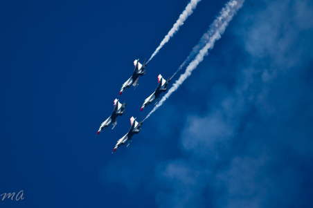 Enlarge photo 41