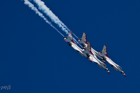 Enlarge photo 216