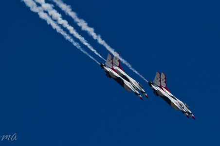 Enlarge photo 220