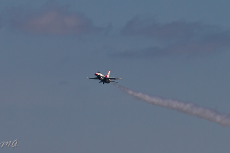 Enlarge photo 223