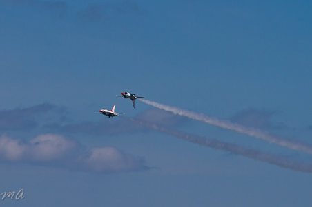 Enlarge photo 267