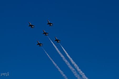 Enlarge photo 442