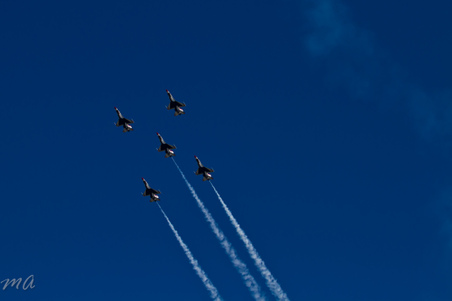Enlarge photo 444