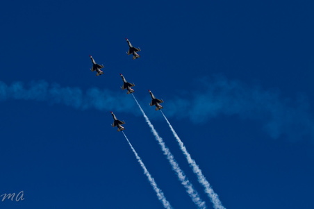 Enlarge photo 445