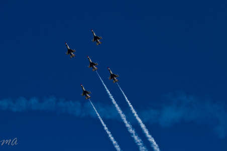Enlarge photo 446