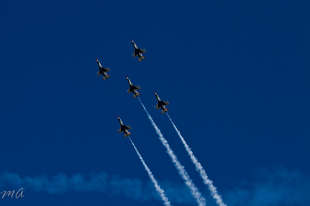 Enlarge photo 447