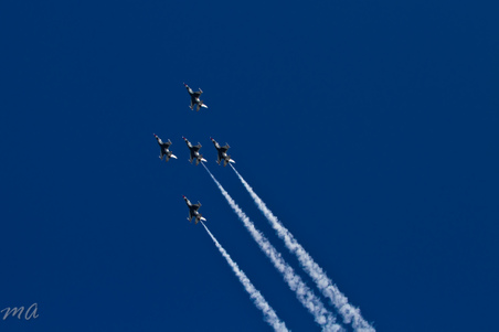 Enlarge photo 451