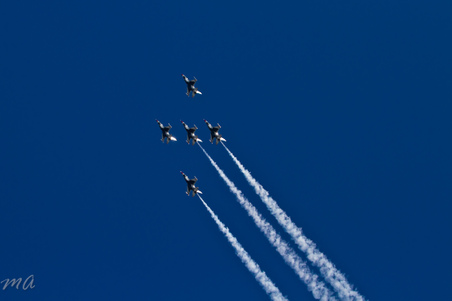 Enlarge photo 452