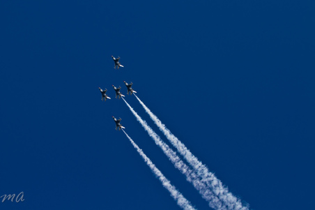 Enlarge photo 453