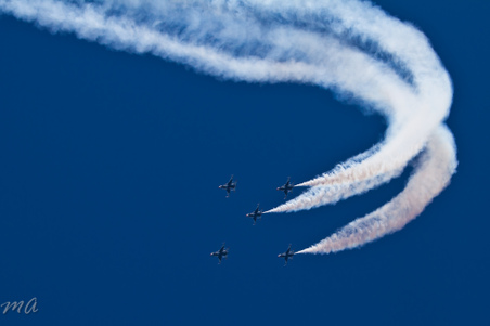 Enlarge photo 469