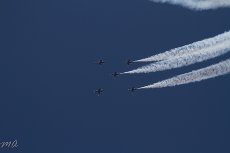 Enlarge photo 470