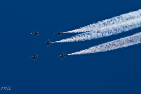 Enlarge photo 471