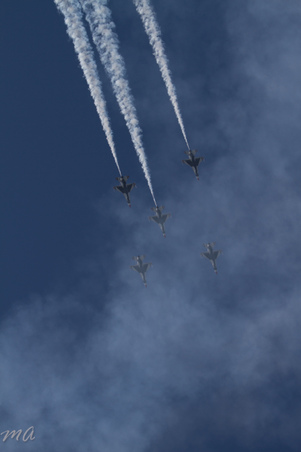 Enlarge photo 475