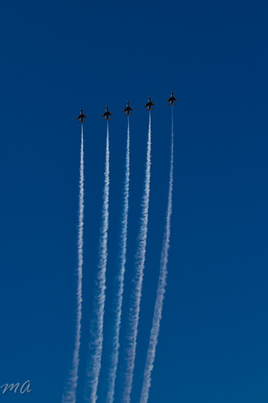 Enlarge photo 495