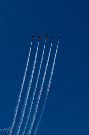 Enlarge photo 496