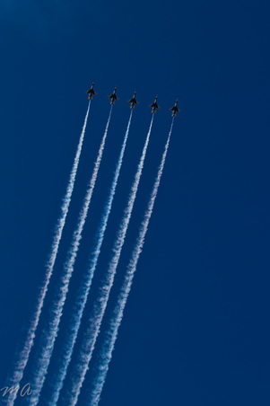 Enlarge photo 497