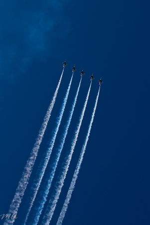 Enlarge photo 499
