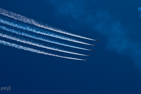 Enlarge photo 501