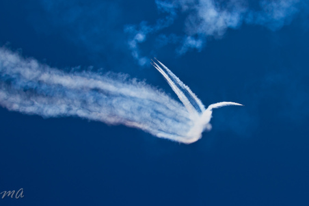 Enlarge photo 505