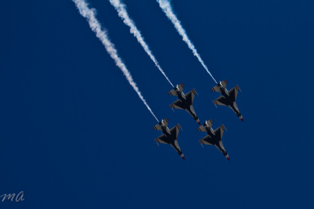 Enlarge photo 511