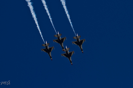 Enlarge photo 517