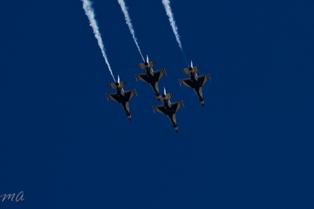 Enlarge photo 518
