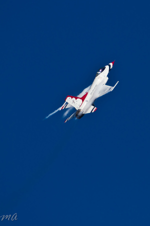 Enlarge photo 553