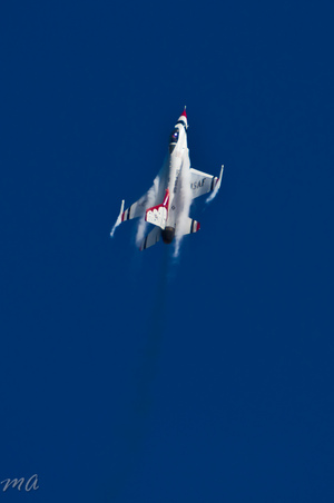Enlarge photo 557