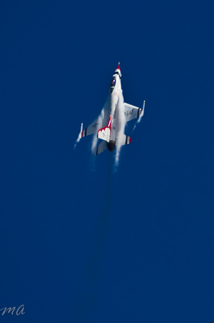 Enlarge photo 558
