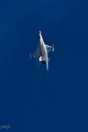 Enlarge photo 559