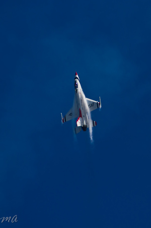 Enlarge photo 560